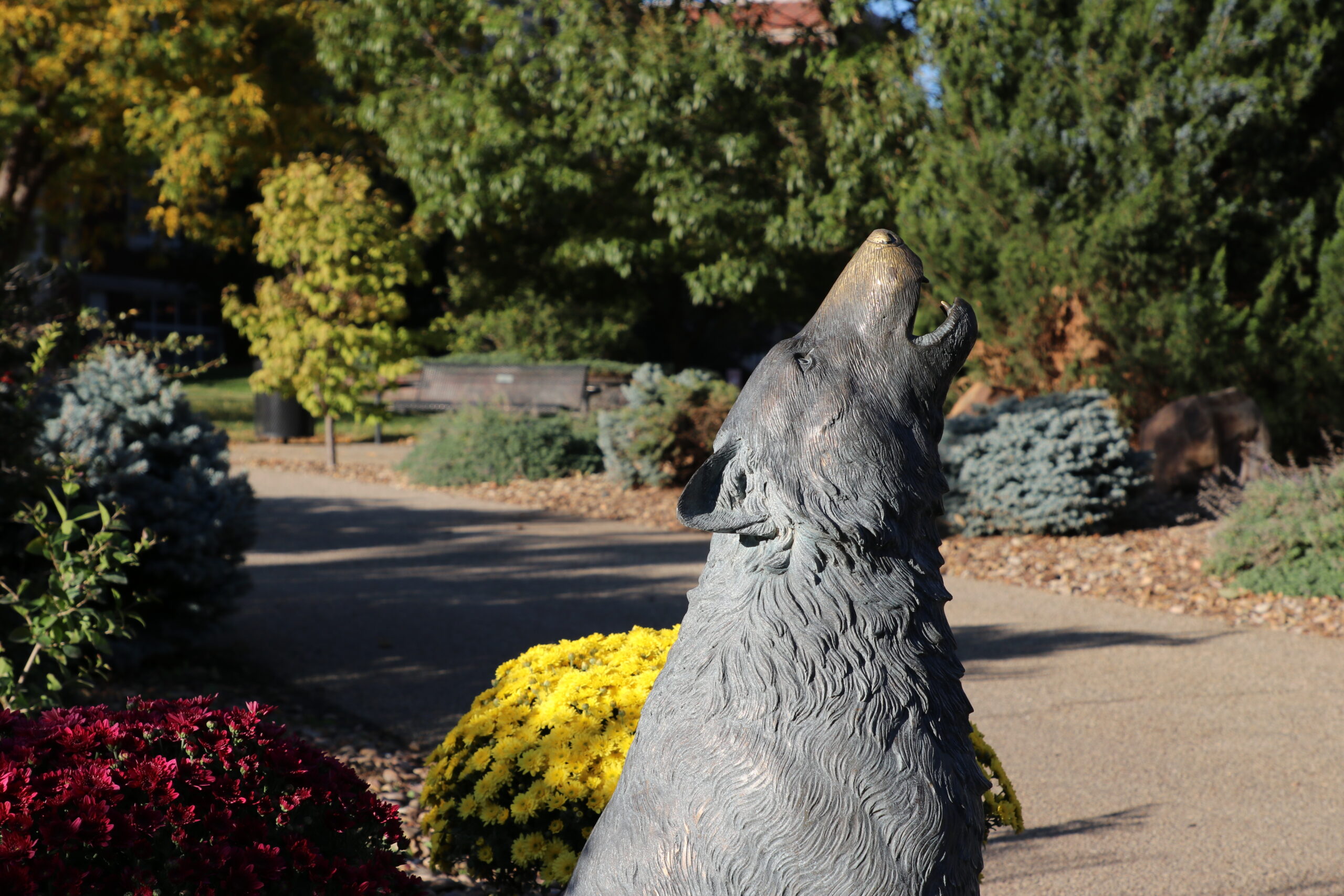 Statue of Coyote