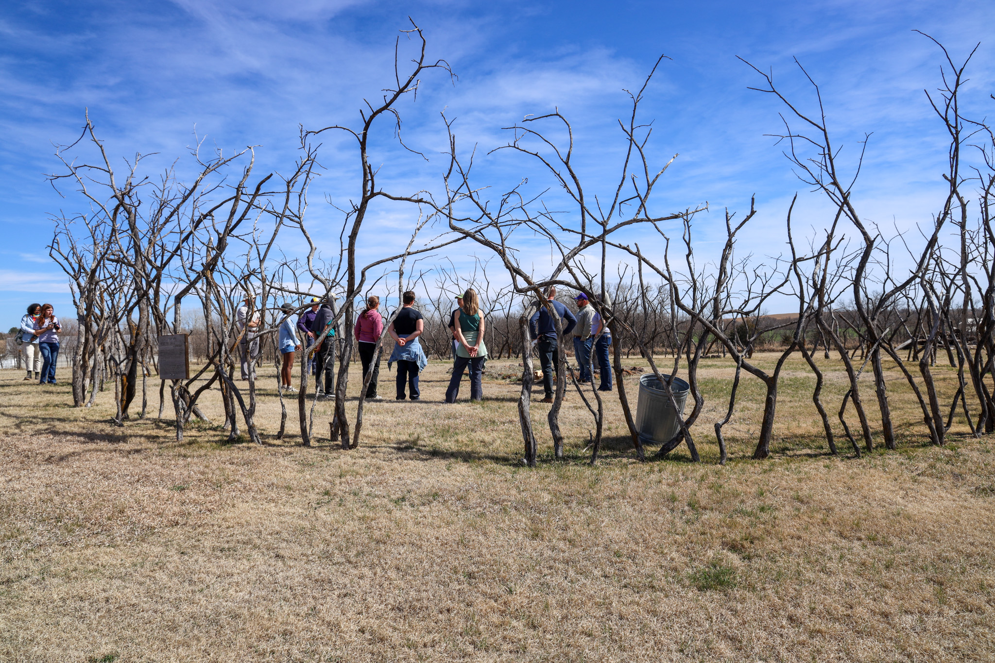 Group in field