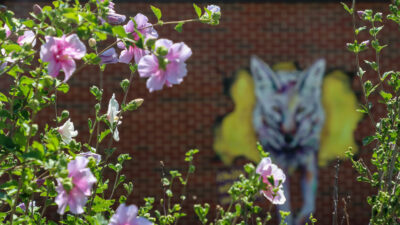 Flowers with Coyote mural in background