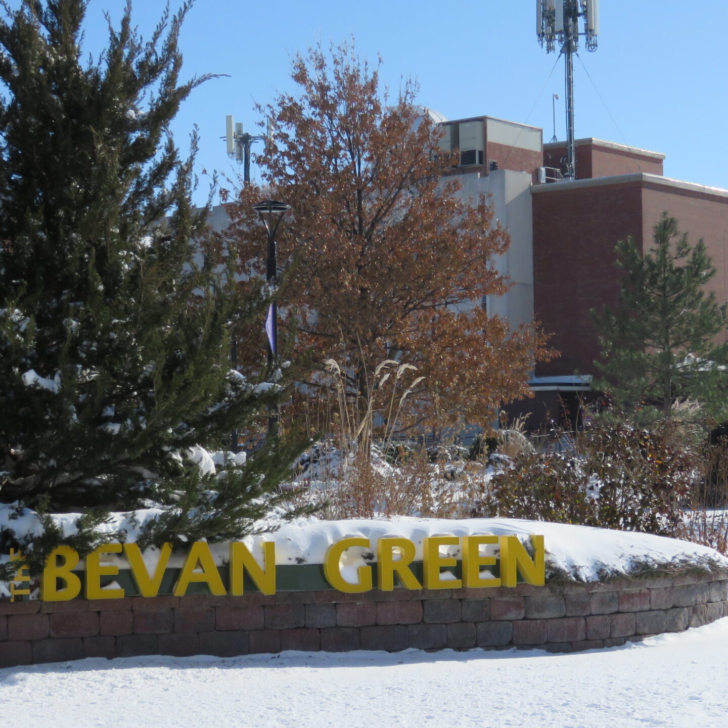 Bevan Green in snow