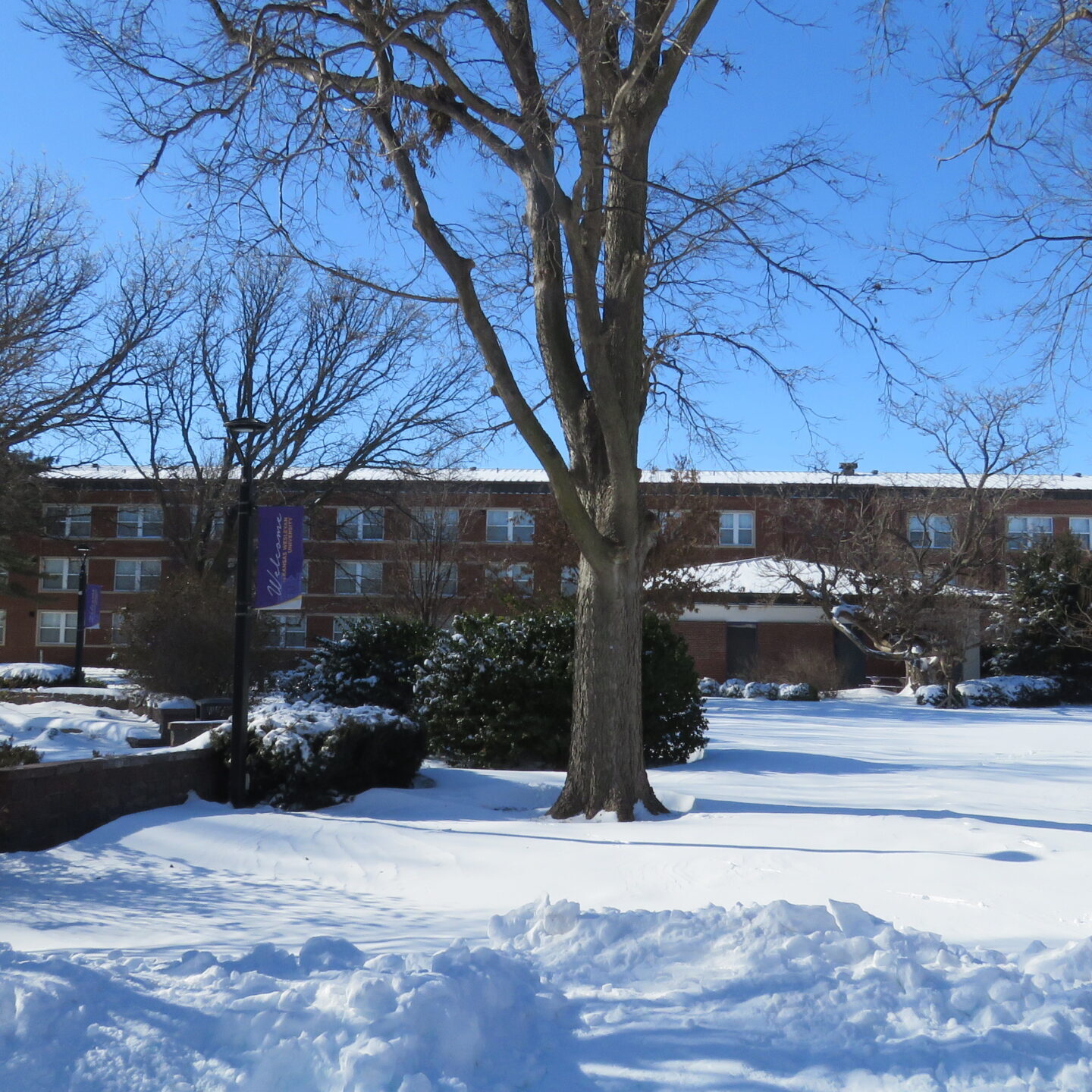 Snowy campus